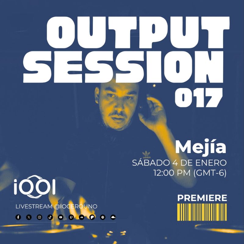 mejía input session 017
